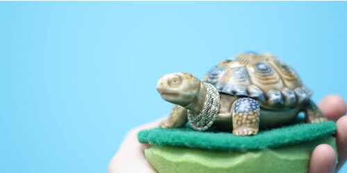 A person holding a toy turtle on a green foam cushion