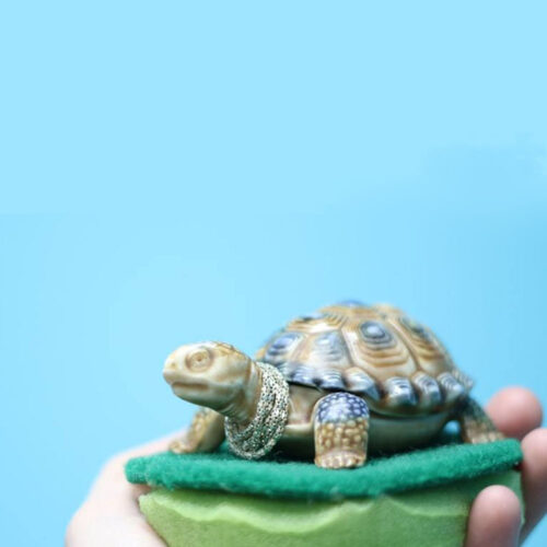 A person holding a toy turtle on a green foam cushion