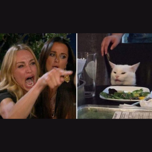 Real Housewives arguing and pointing at a cat sat at a table meme