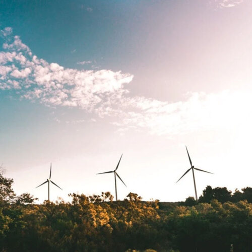 Wind turbines in a field