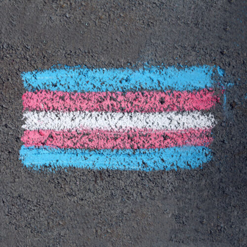 The Trans Pride flag drawn in chalk on the floor