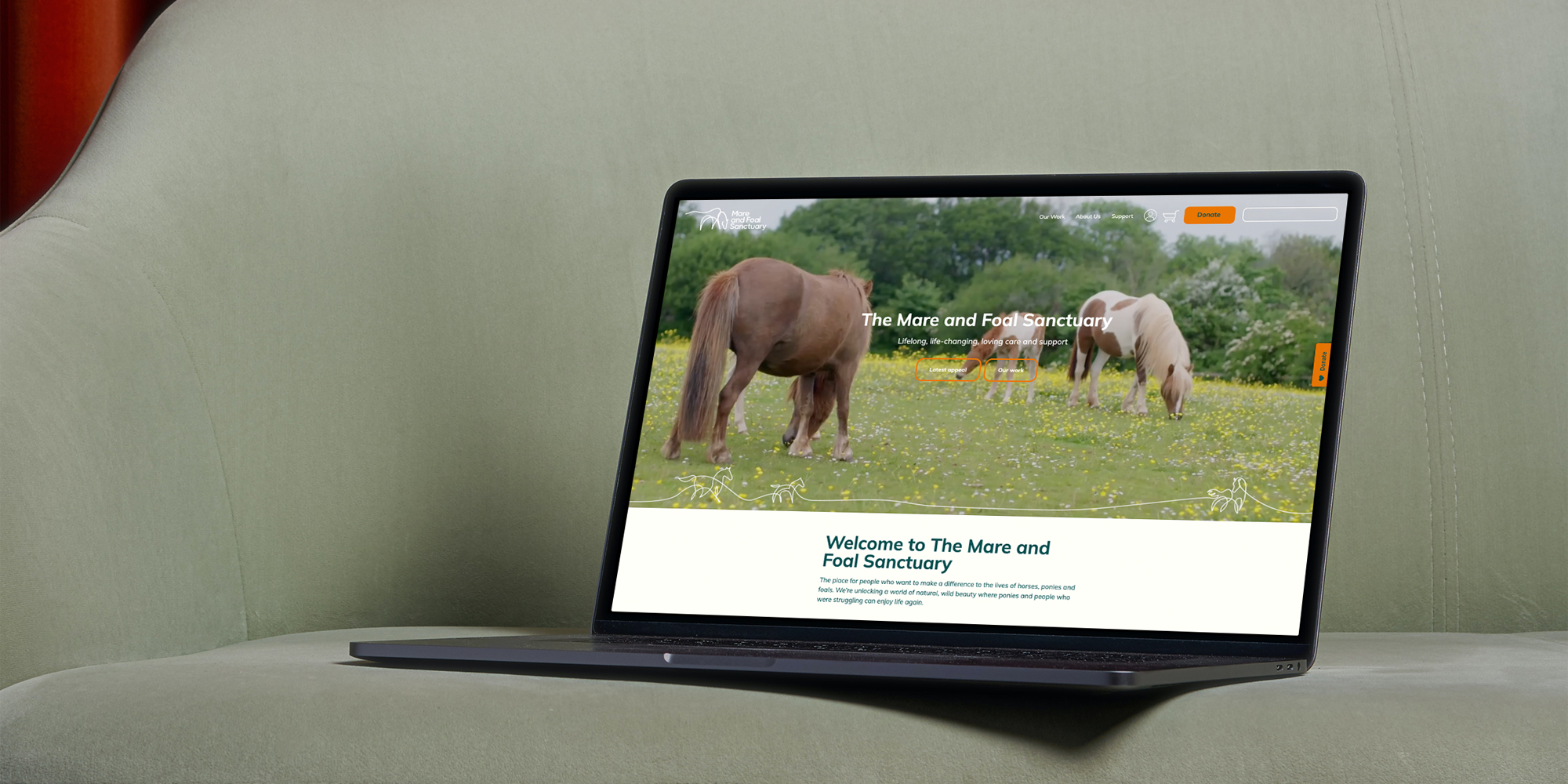 Mare and Foal sanctuary page shown on a laptop