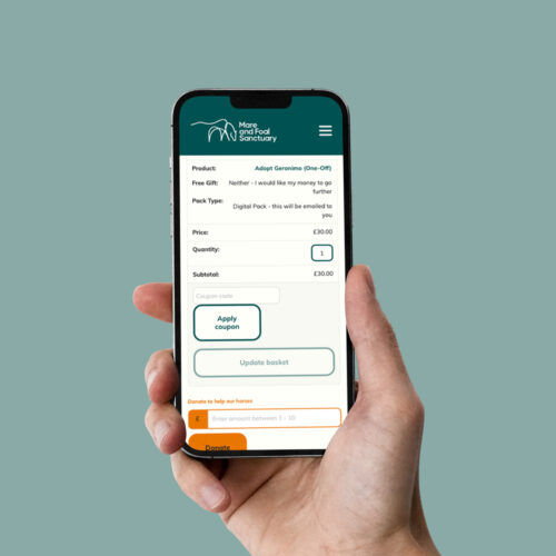Mare and Foal donate page shown on a phone screen