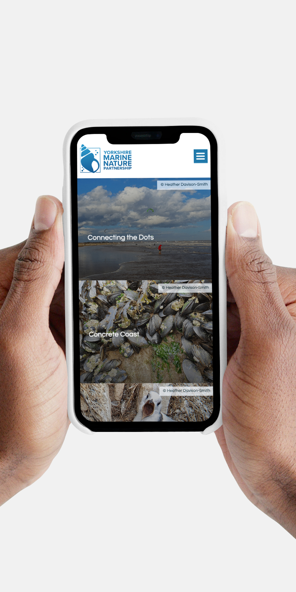 Yorkshire marine nature page shown on a phone screen