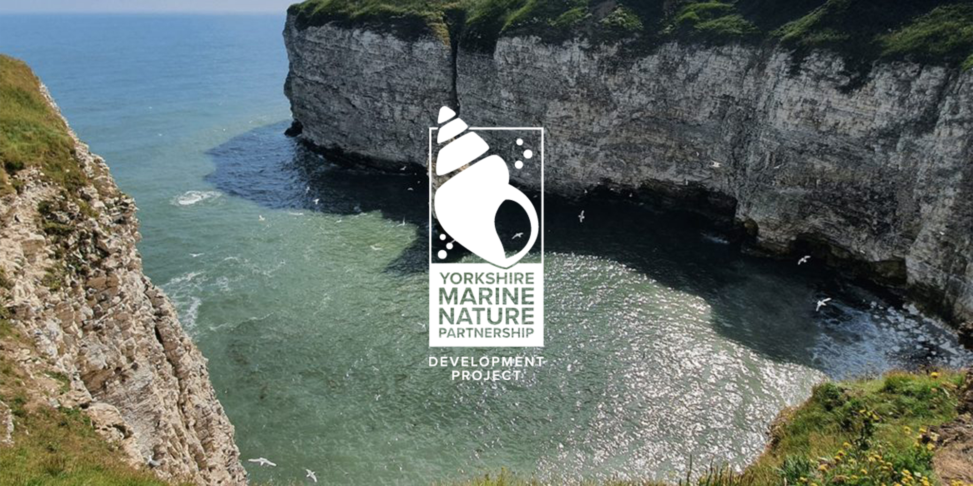 Yorkshire marine nature logo shown over a landscape of cliffs and the sea