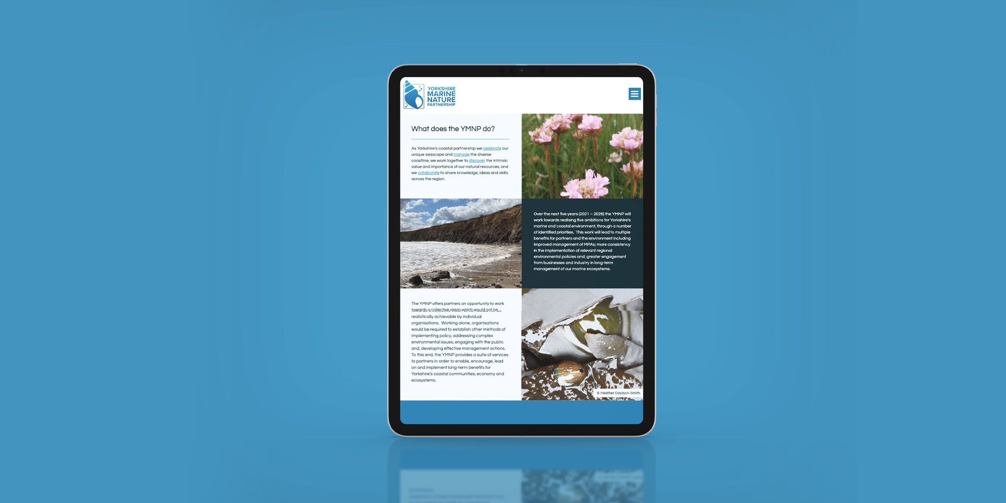 Yorkshire marine nature pages shown on a tablet