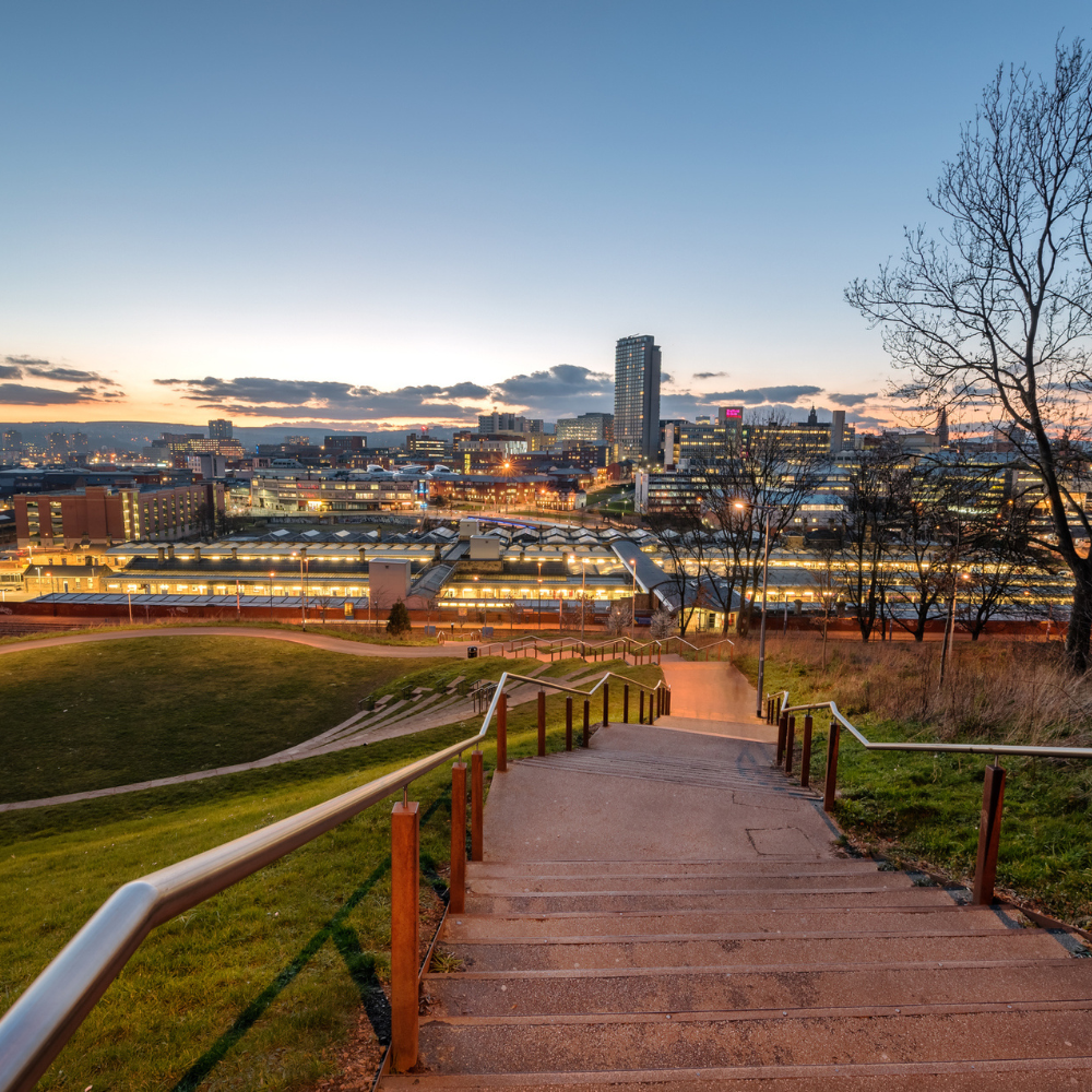 A landscape featuring a cityscape taken from the view in a park