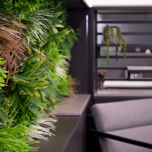 An office wall covered with plants